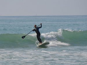 Paddlesurfer