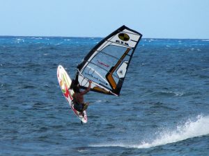 Windsurfer